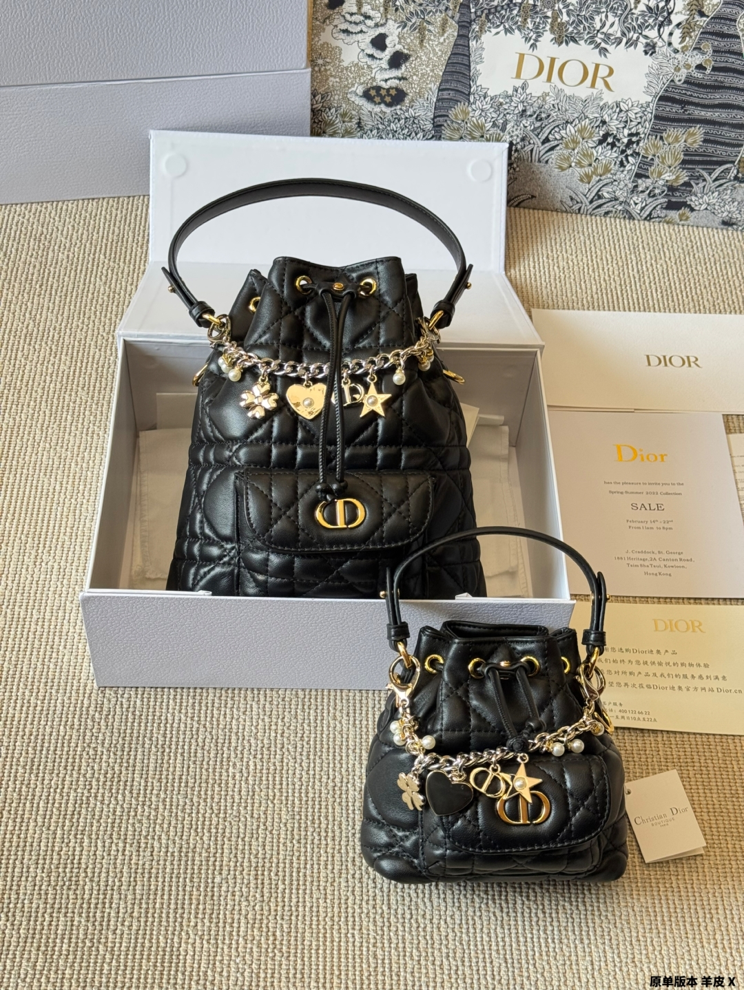 DIOR bag 238